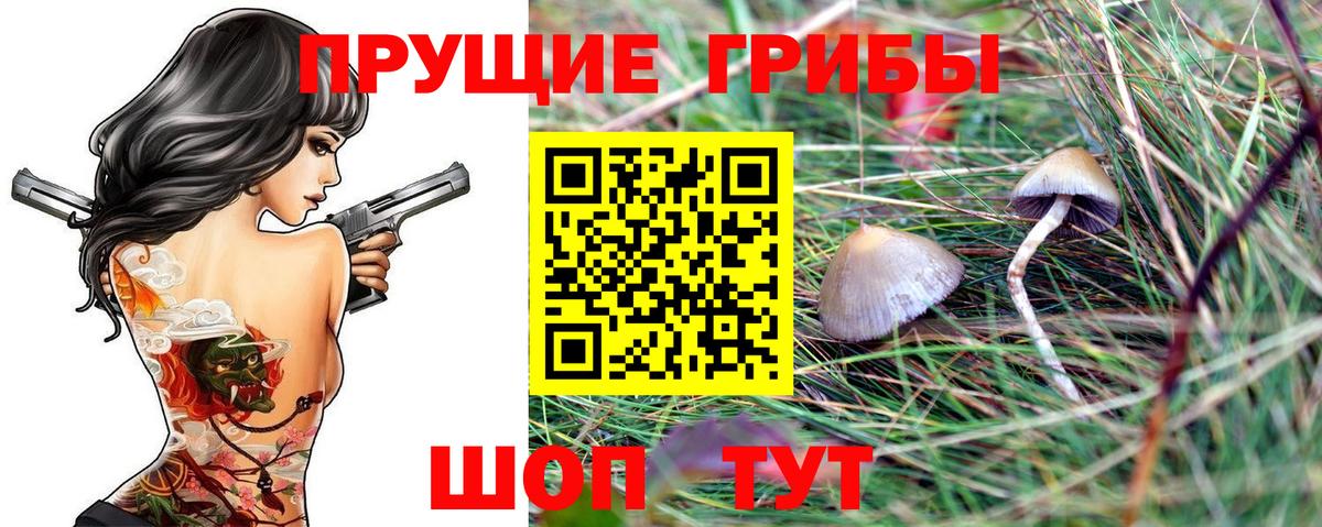 Галлюциногенные грибы ЛСД  Вход с VPN  Реж  Псилоцибиновые грибы Magic Shrooms 