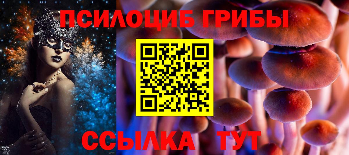 Галлюциногенные грибы Psilocybine cubensis Реж